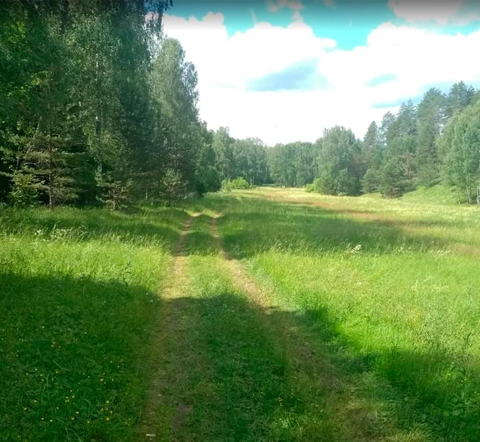 Черноситово - Медынцево