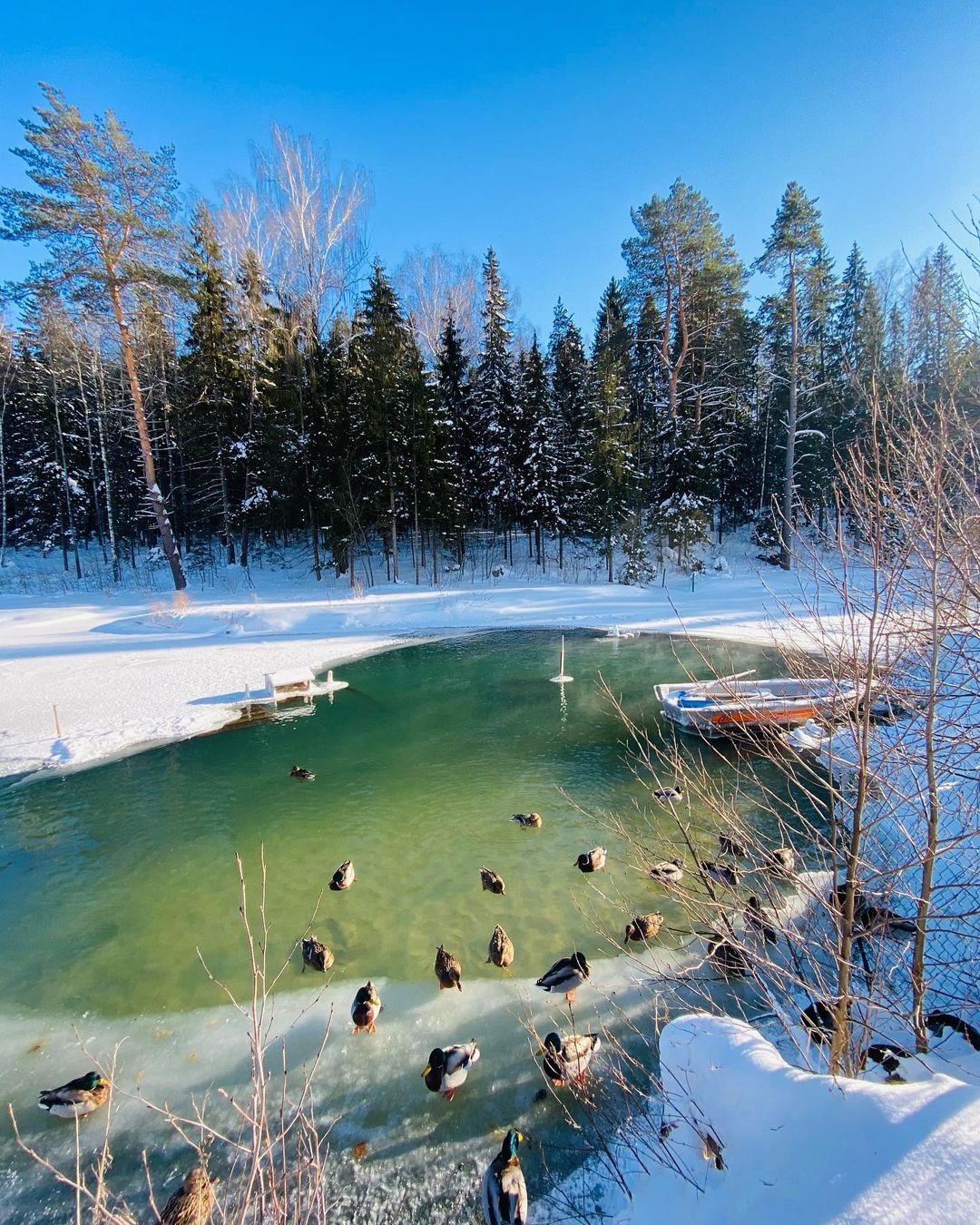 Влияние свежего воздуха на иммунитет взрослых и детей