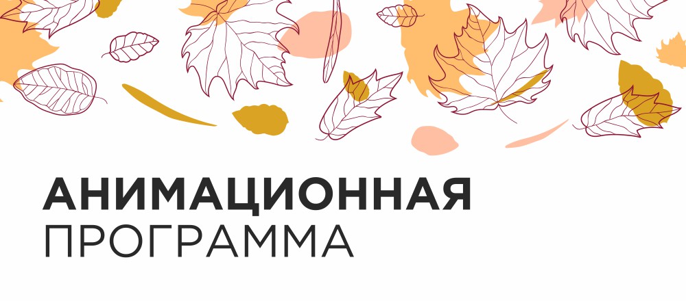 Анимационная программа