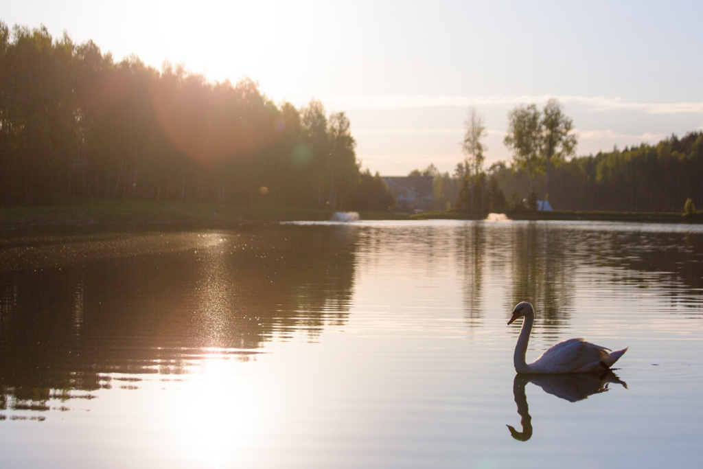 Как провести выходные без интернета
