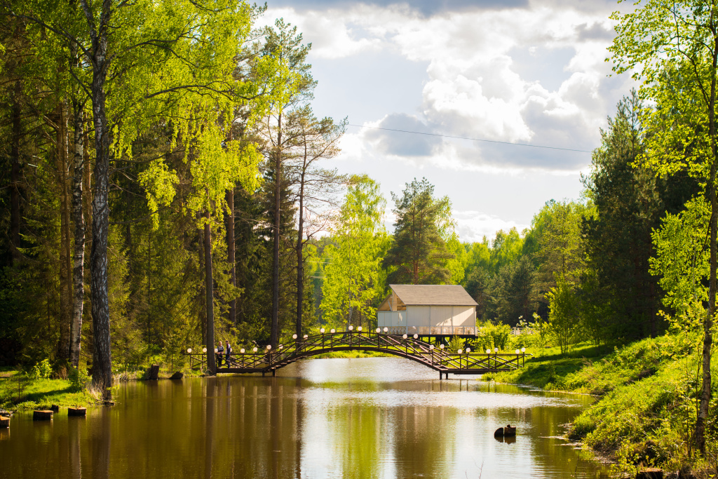 Как подготовить и провести фотосессию всей семьей на природе?